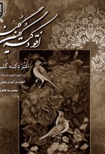 جلد کتاب افتو دکته گلین گلینه
