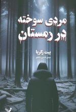 کتاب مردی سوخته در زمستان