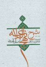 کتاب شرح نهج البلاغه 8 (زرکوب)