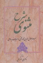کتاب شرح مثنوی - دفتر پنجم