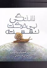 کتاب سنگی بی حرکت نشسته