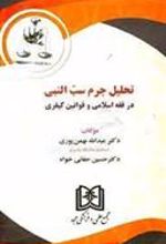 کتاب تحلیل جرم سب النبی