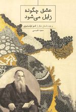 جلد کتاب عشق چگونه زایل می‌شود‮