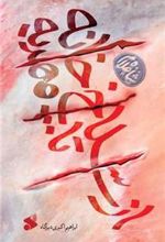 کتاب از سلاخ خانه تا مهدیه