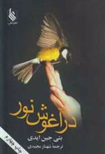 کتاب در آغوش نور