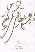 کتاب از چشم‎هایش نمی‎گفتیم