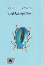 جلد کتاب چه کنیم بدون کالوینو