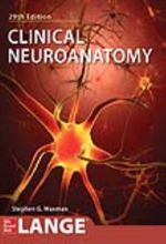 جلد کتاب Clinical Neuroanatoiny