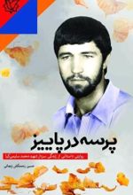 کتاب پرسه در پاییز