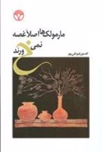 کتاب مارمولک ها اصلا غصه نمی خورند