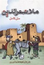 کتاب ملانصرالدین