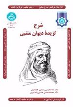 کتاب شرح گزیده دیوان متنبی