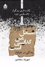 جلد کتاب شغل من گدایی است