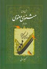 کتاب شرح جامع مثنوی معنوی (دفتر پنجم)
