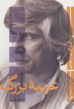 کتاب غریبه بزرگ