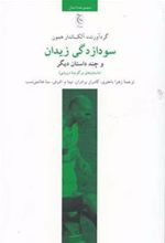 کتاب سودازدگی زیدان