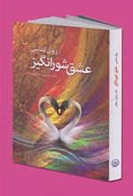 کتاب روان شناسی عشق شورانگیز