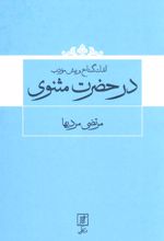 کتاب اندک گستاخ و بیش مودب در حضرت مثنوی