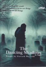 کتاب The dancing shadows at night