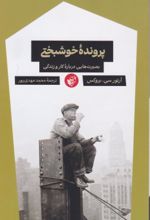 جلد کتاب پرونده خوشبختی