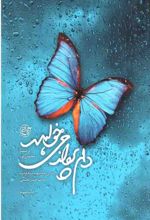 جلد کتاب دلم پرواز می‌ خواهد