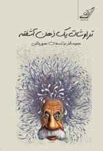 جلد کتاب تراوشات یک ذهن آشفته
