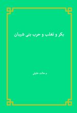 جلد کتاب بکر و تغلب و حرب بنی شیبان