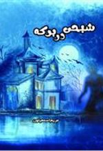 کتاب شبحی در برکه