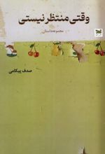 جلد کتاب وقتی منتظر نیستی