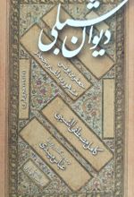 جلد کتاب دیوان شبلی