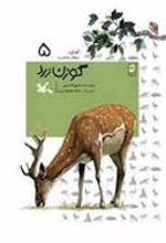 کتاب گوزن زرد (جلد سخت)