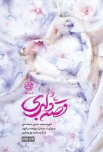 کتاب قصه دلبری
