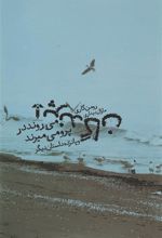 کتاب پرندگان می روند در پرو می میرند
