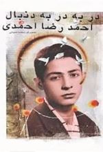کتاب در به در به دنبال احمدرضا احمدی