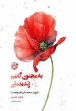 جلد کتاب به مجنون گفتم زنده بمان