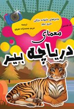 جلد کتاب معمای دریاچه بیر