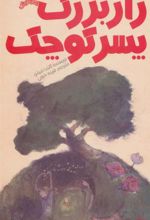 کتاب راز بزرگ پسر کوچک