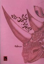 کتاب زره کرگدن به تن دارم