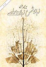 جلد کتاب زبانه شمس و زبان مولوی