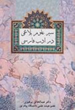 کتاب سیر علوم بلاغی در ادب فارسی