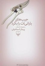 کتاب جیب های بارانی ات را بگرد