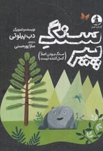 کتاب سنگ پیر