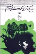 جلد کتاب بار دیگر شهری که دوست می‌داشتم