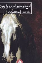 کتاب این بار نور اسبم را ربود