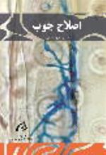 جلد کتاب اصلاح چوب
