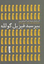 کتاب بیر سبد قیزیل گلوله