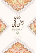 کتاب دیوان وحشی بافقی