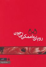 کتاب رویای ناممکن لی جون