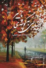 جلد کتاب قرار بوده بیایی به کوچه‌ی پاییز