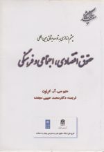 کتاب حقوق اقتصادی اجتماعی فرهنگی